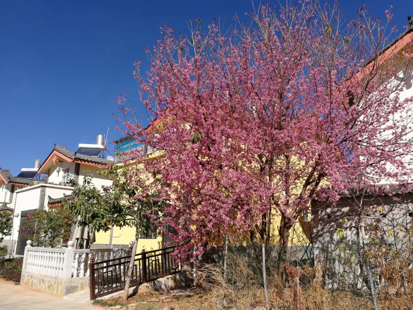 37 Garden Guesthouse Shilin Family - Image 1