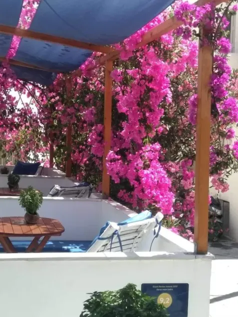 Doron Hotel Delfini - Image 1