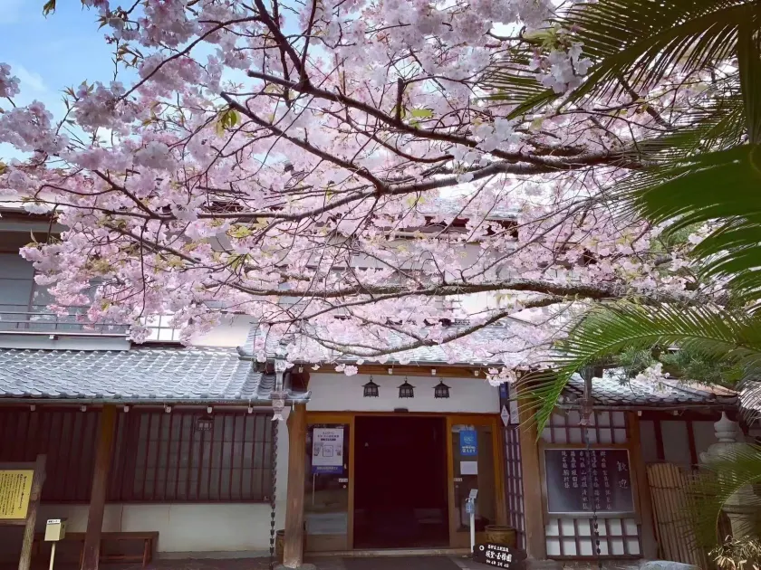 Sakahijiri gyokushoen - Image 1