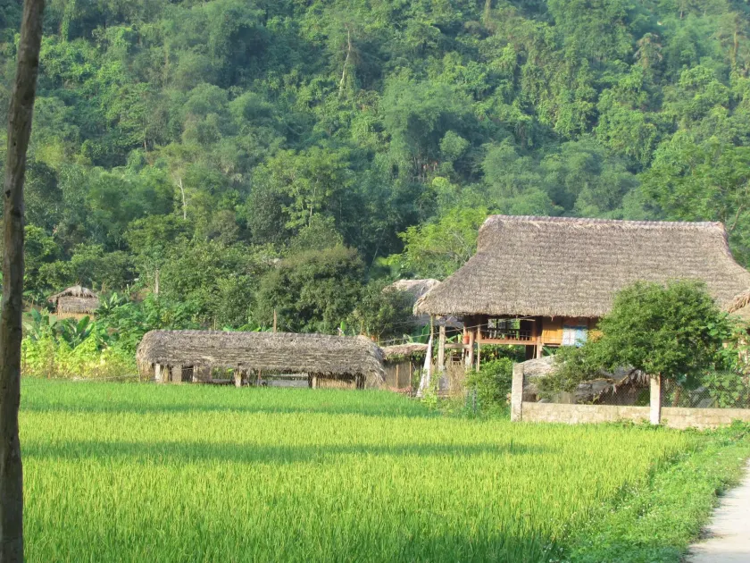 Xoi Homestay Ba Be Lake - Image 1