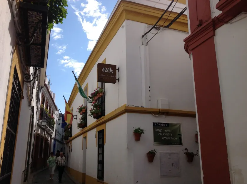 HOTEL BOUTIQUE ALMA ANDALUSí - Image 1