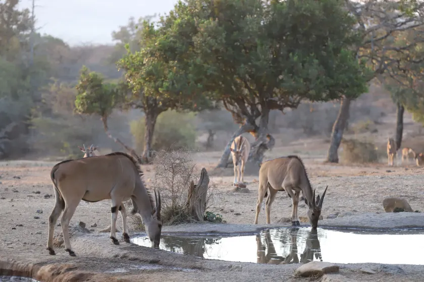 Maralal Safari Lodge - Image 1