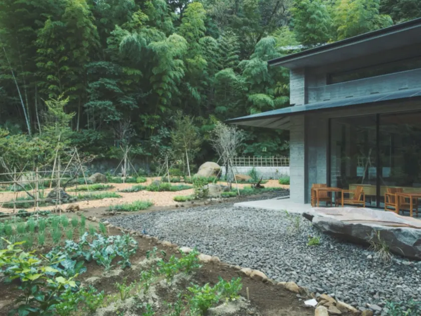 SOKI ATAMI - Image 1