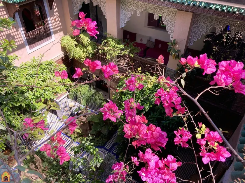 Riad Toyour- Riad of birds - Image 1