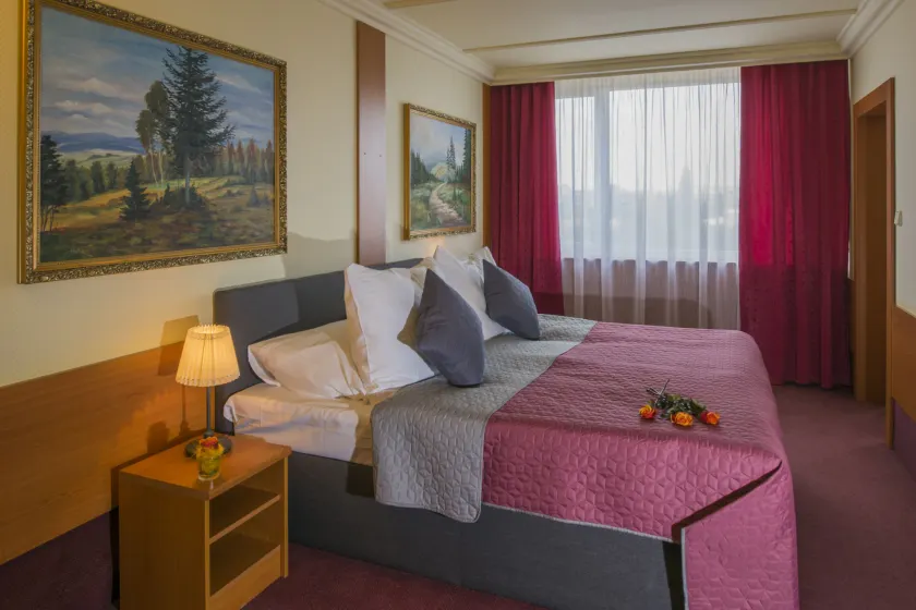 TOP HOTEL Praha - Image 1