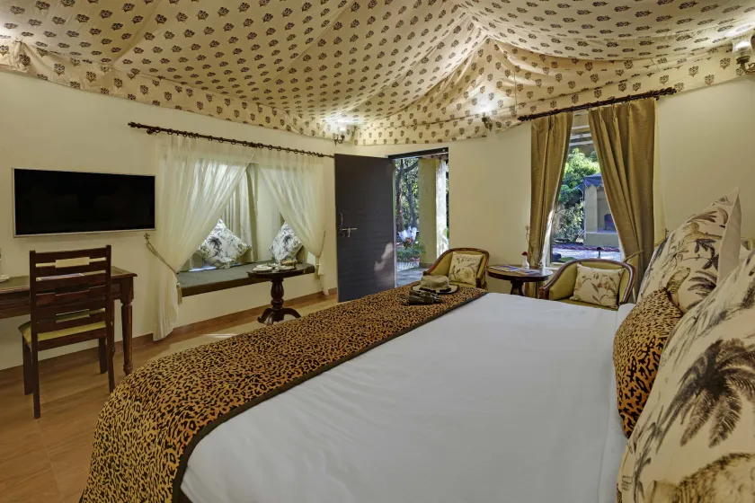  GIR LION SAFARI CAMP - Image 1