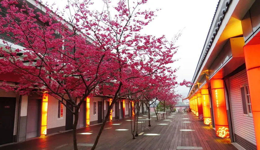 Sanyi Sakura Resort - Image 1
