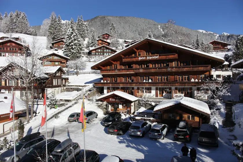 Alpenhof - Image 1