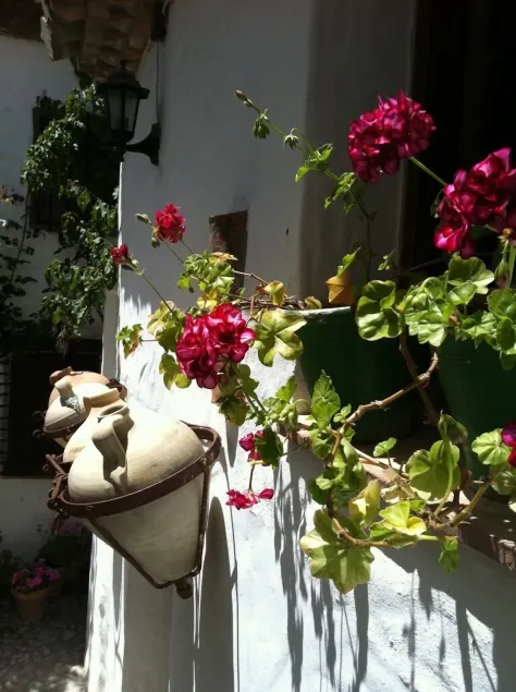 La Casa de Corruco - Image 1