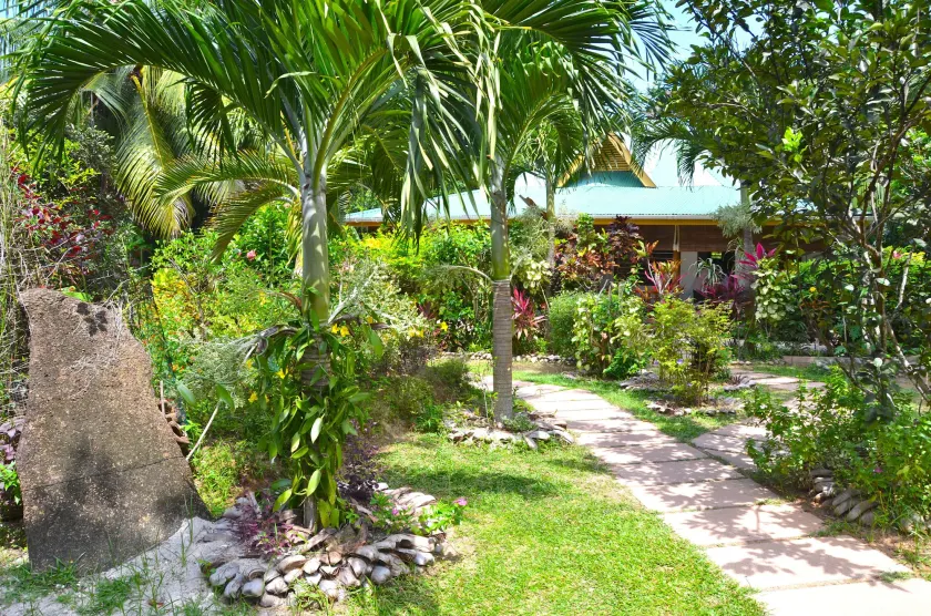 Cocotier du Rocher - Image 1