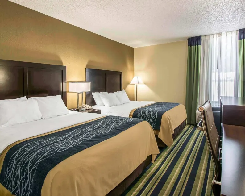 Comfort Inn & Suites Lantana - West Palm Beach South - Image 1