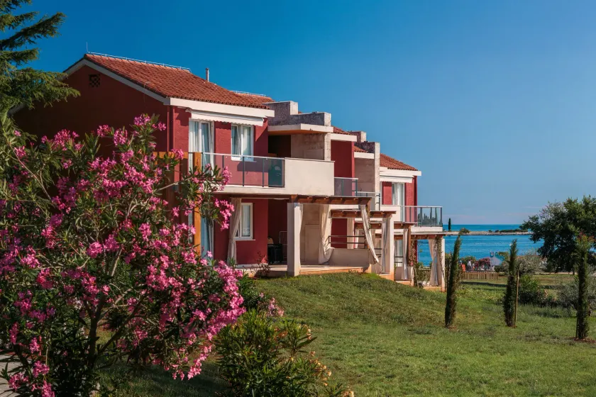 Apartments Katoro Plava Laguna - Image 1