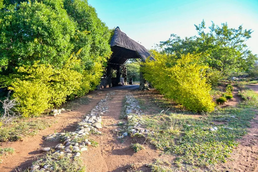 Explore Sand River Lodge - Image 1