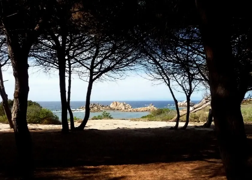 Seaview Cottage Walk to Beach Sunset Terrace - Image 1