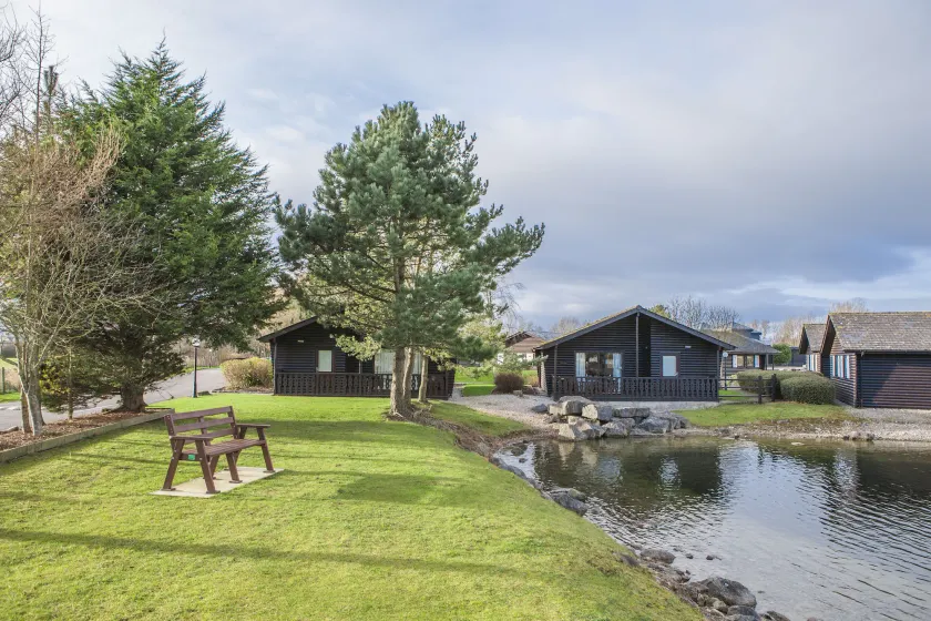 Pine Lake Resort - Image 1