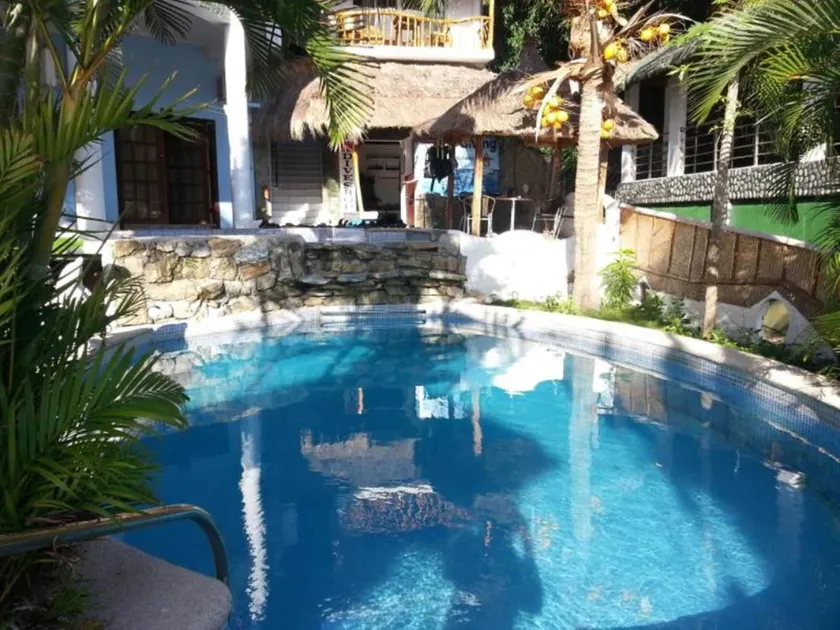 Dolphinbay Beachfront & Dive Resort - Image 1