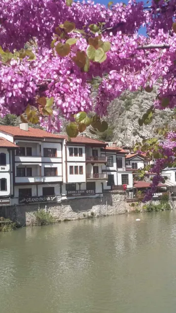 Şehrizade Konakları - Image 1