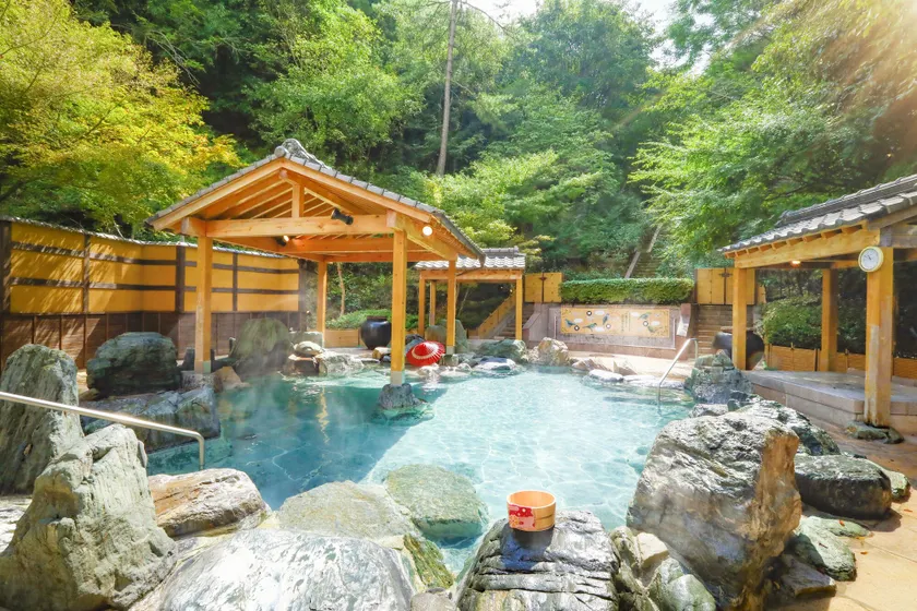 Ooedo Onsen Monogatari Hotel Reoma no Mori - Image 1