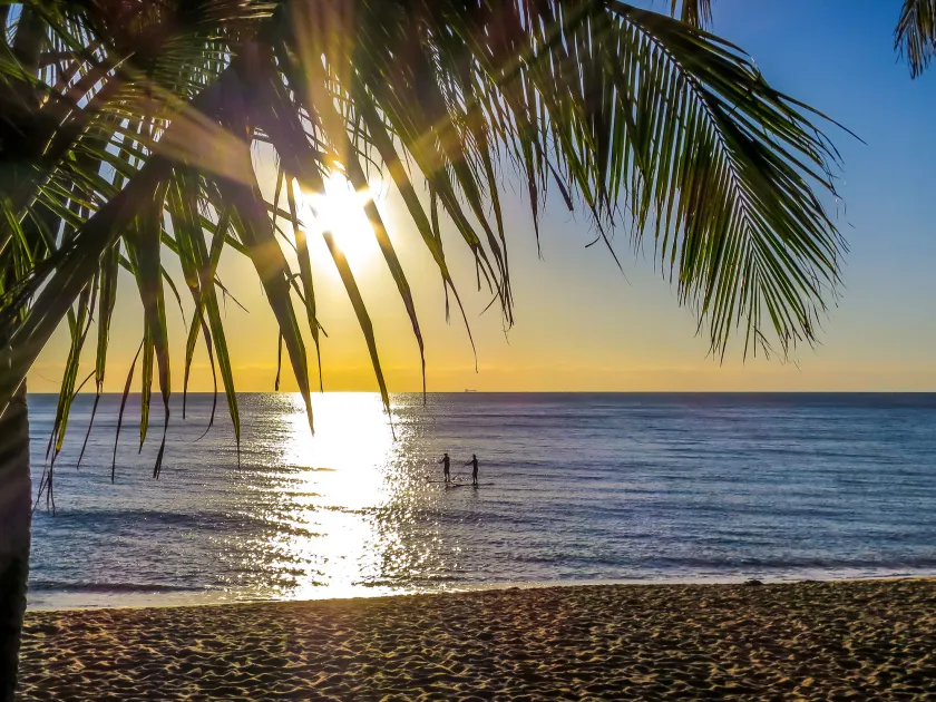 Roydon Beachfront Apartments - Image 1