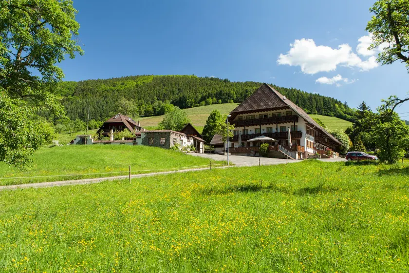 Landgasthaus Grüner Baum - Image 1