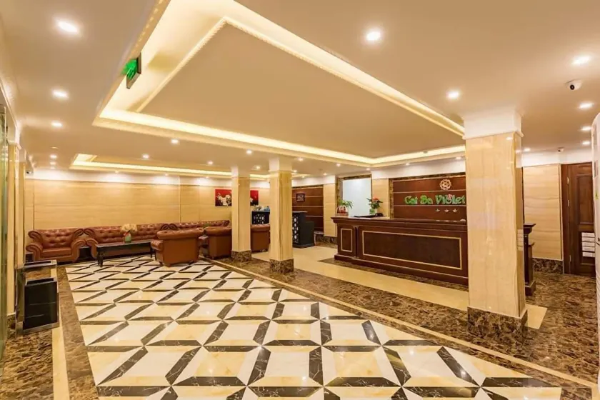 Cat Ba Violet Hotel and Apartment - Image 1