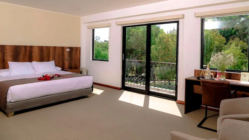 Hotel Villa del Carmen - Image 1