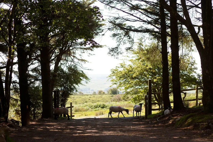 Wheal Tor Hotel & Glamping - Image 1