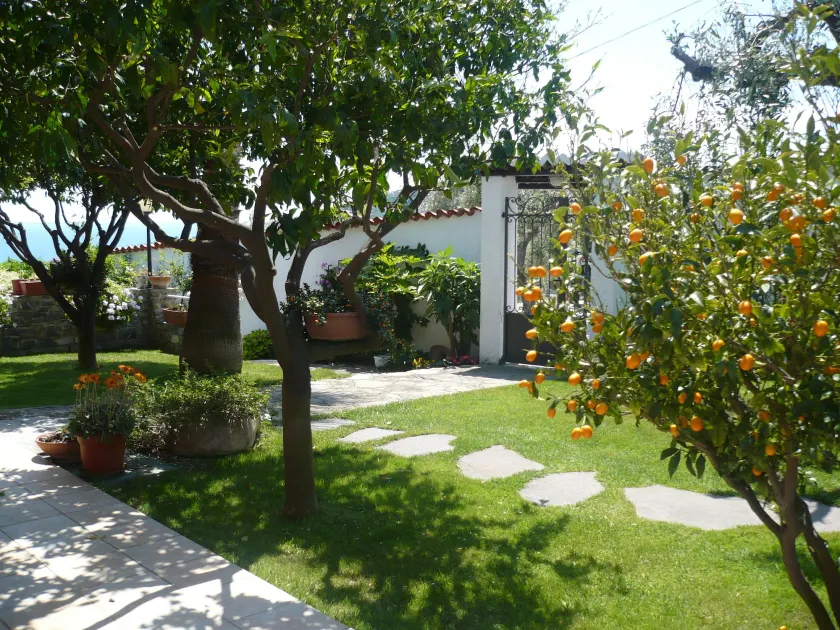 Azienda Agrituristica Villa Arianna - Image 1