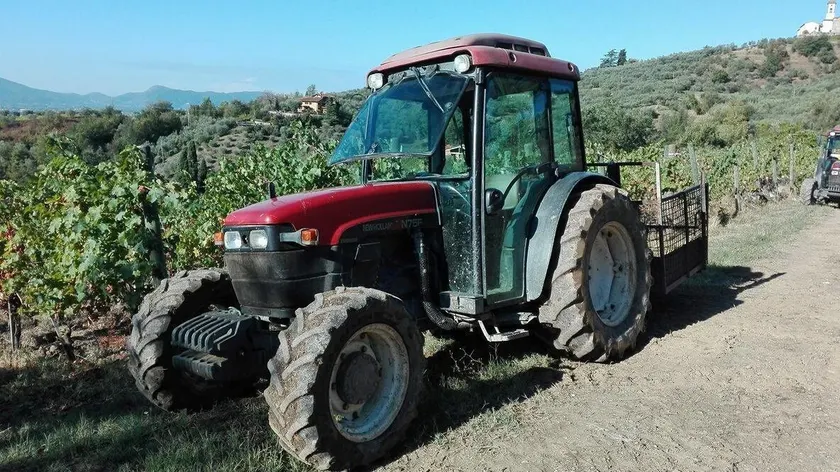 Fattoria di Fubbiano - Image 1