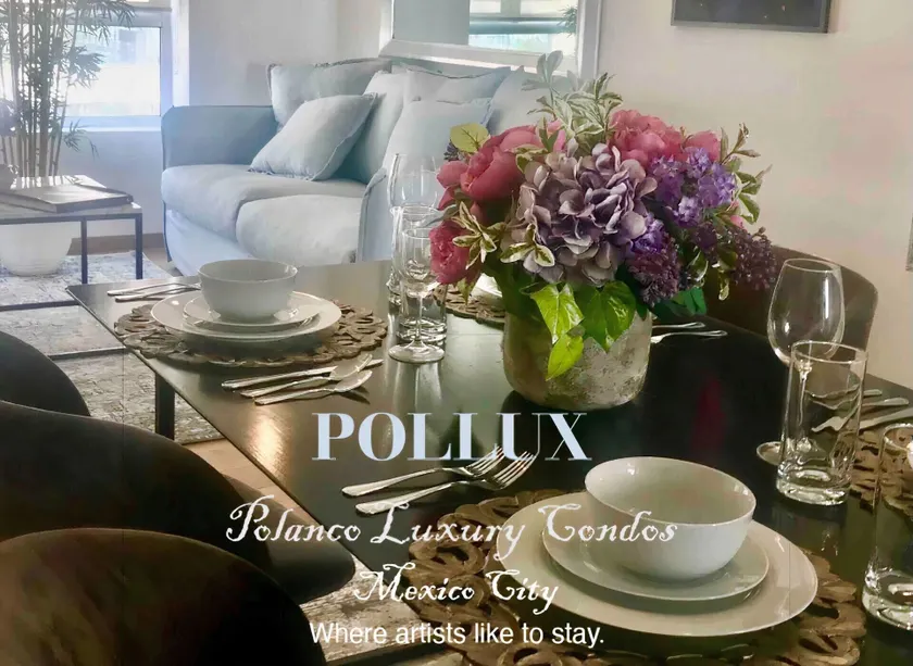 Polanco Luxury and Style - Image 1