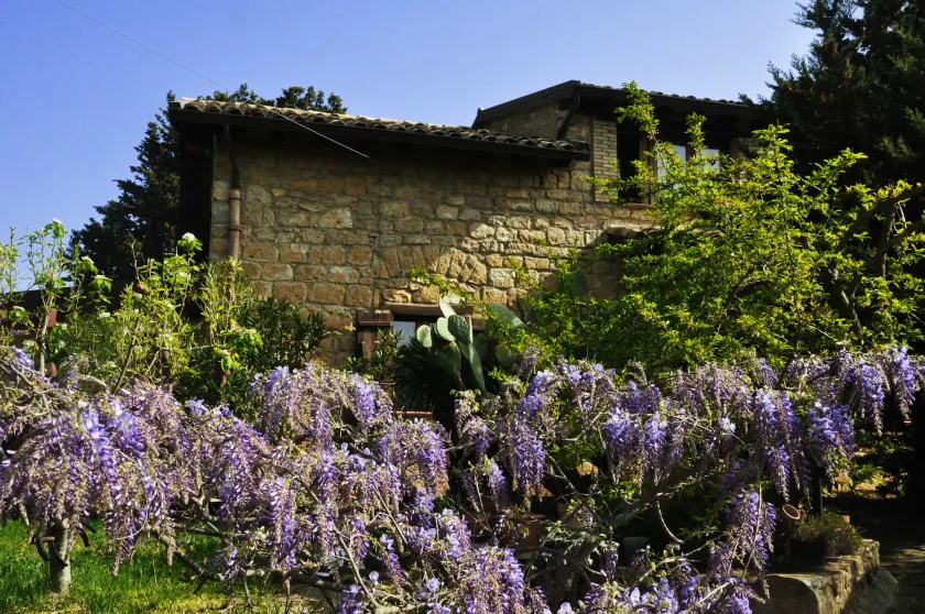 La Casa sulla Collina d'Oro - Image 1