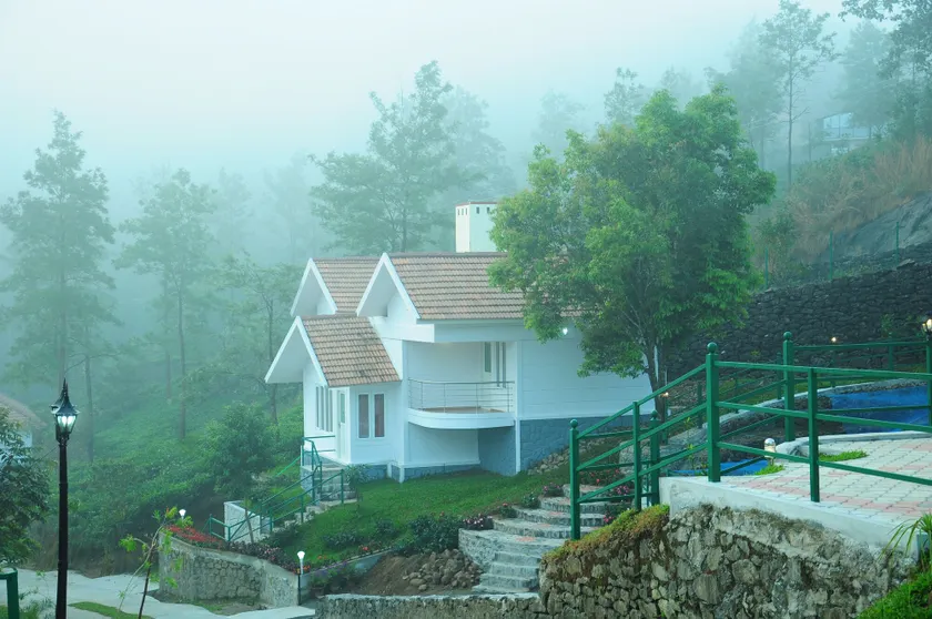 Falcon Crest - Image 1