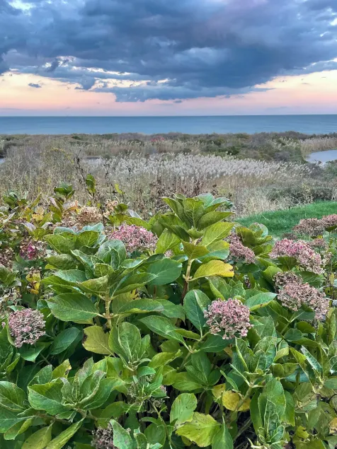 Sea Breeze Inn - Image 1