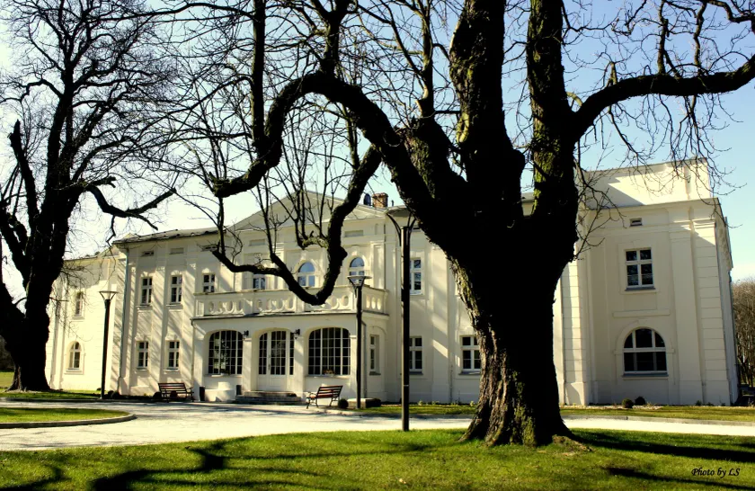 Kasztanowy Pałac - Image 1