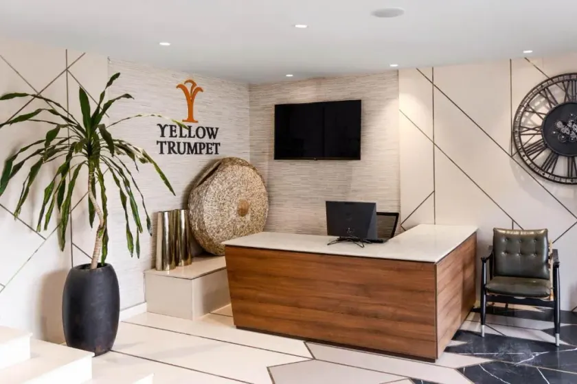Yellow Trumpet Iris Maitama - Lobby