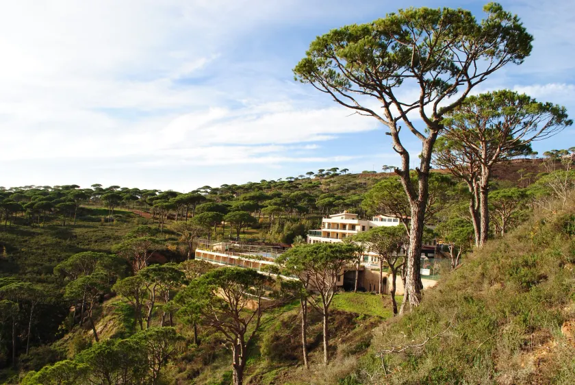 Pineland Hotel and Health Resort - Image 1