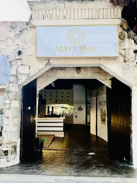 Maya Bric - Image 1