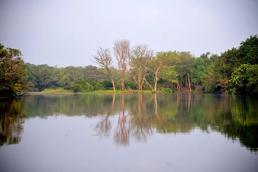 The Backwaters Lodge - Image 1