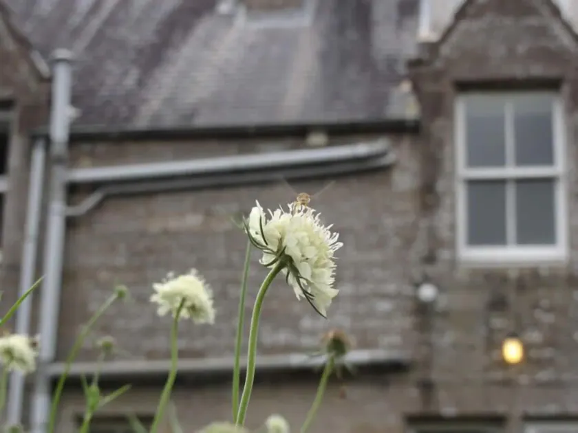 Whitchester Christian Centre - Image 1