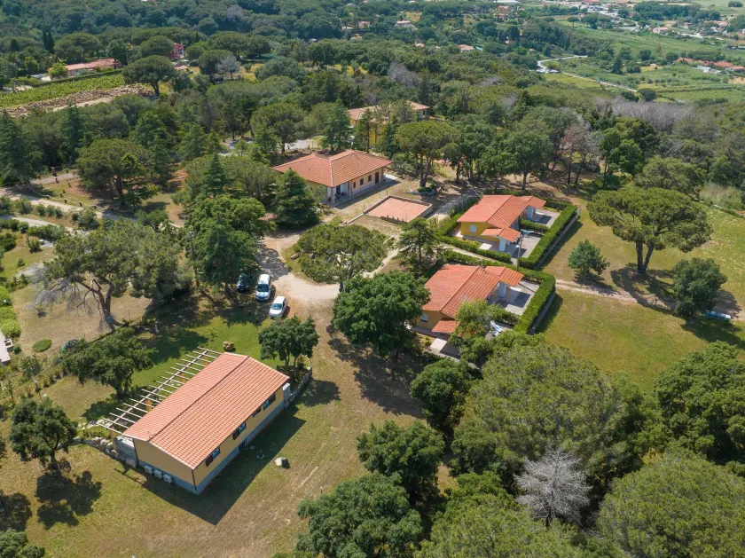 Villino nel Bosco  - Image 1