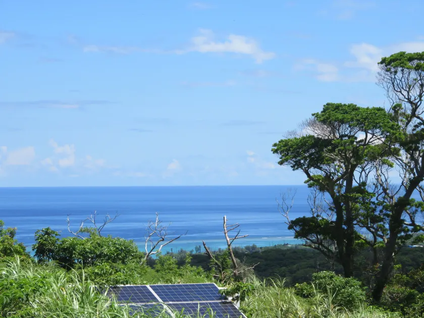 Okinawa Freedom - Image 1
