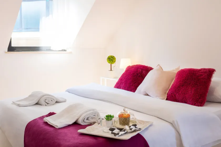 Cozy and Bright Duplex Near City Center - Image 1