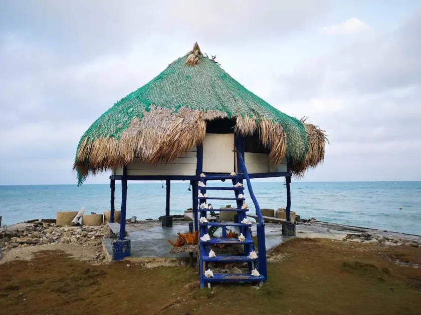 Isla Múcura Dahlandia - Image 1