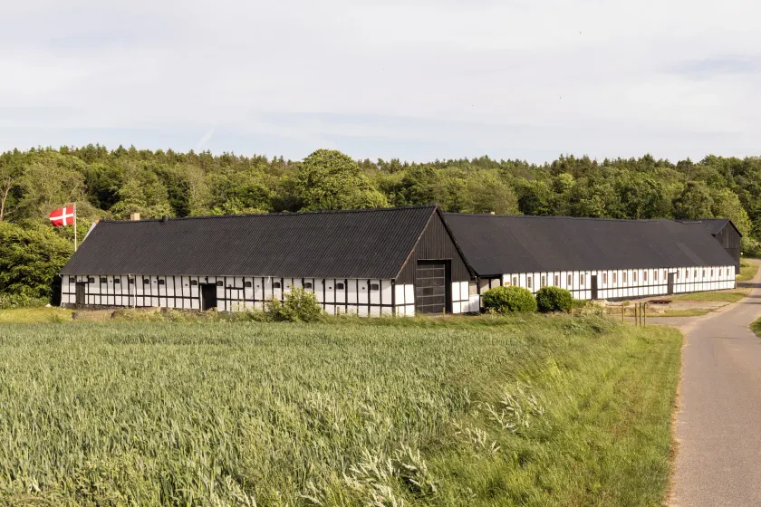 Lehnsgaard - Image 1