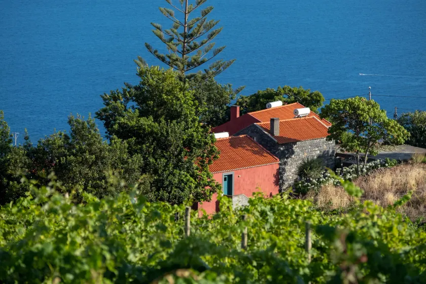 Quinta das Vinhas - Chambre