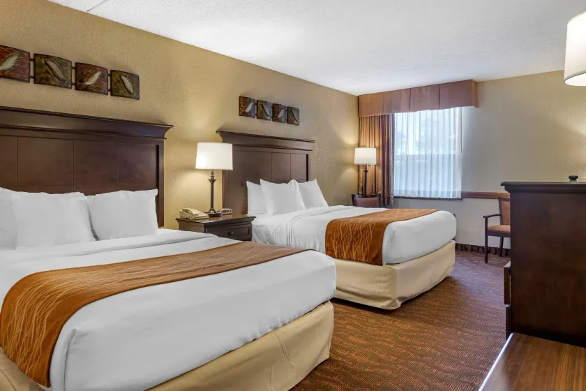 Comfort Inn at Thousand Hills - Image 1