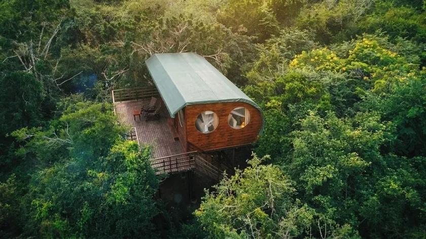 Leopard Nest in Yala - Image 1