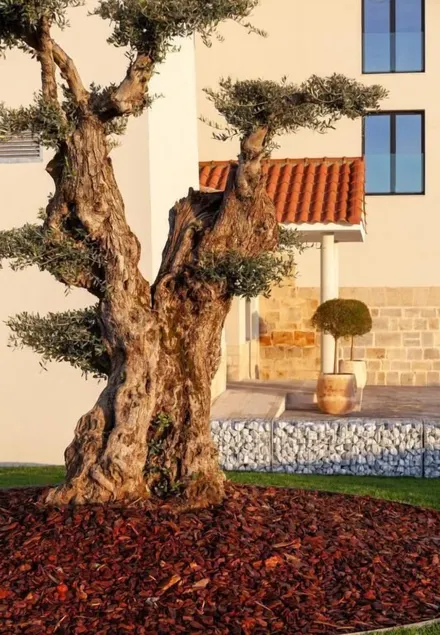 Finca la Desa  - Image 1