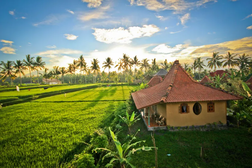Dragonfly Village - Image 1