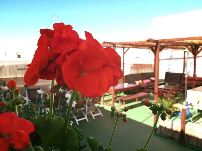 Summer Cádiz - Image 1